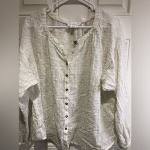 Anthropologie Plus Blouse